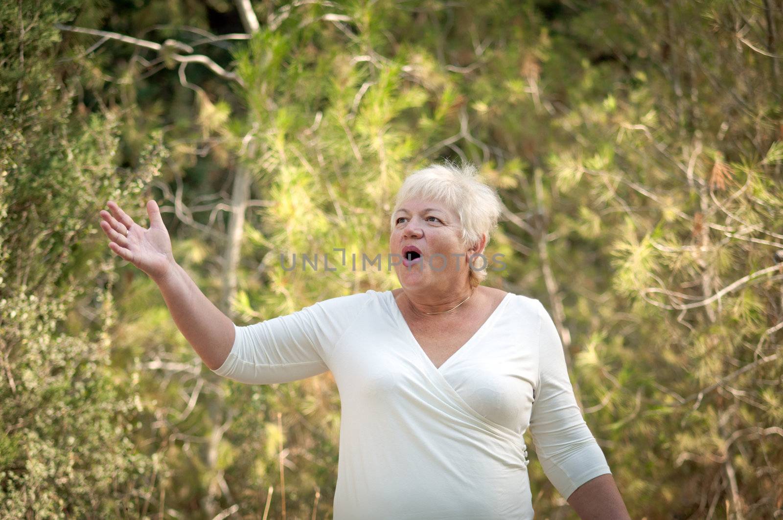 Elderly woman in a summer park .