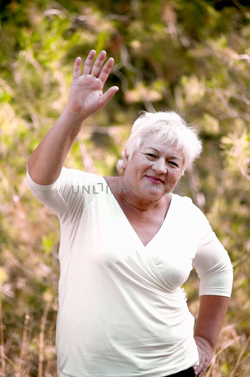 Elderly woman in a summer park .