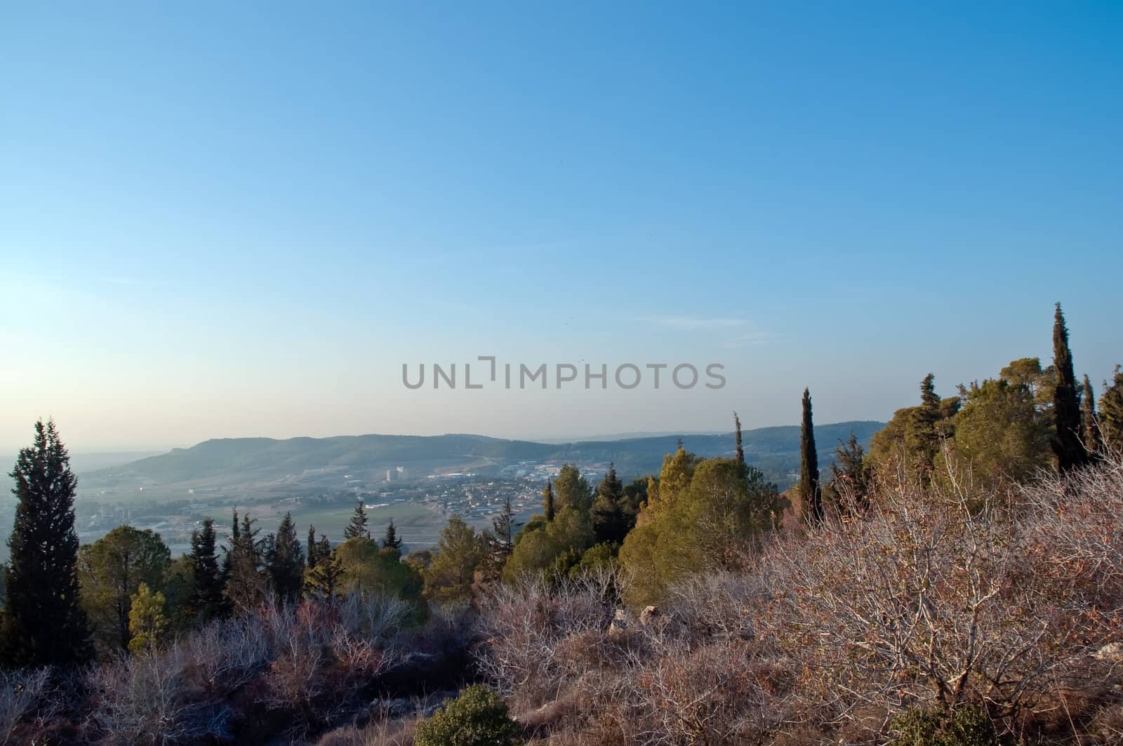 View of the forest in Israel. Beit Shemesh.