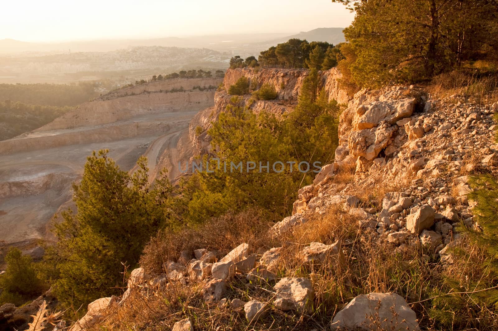 View of the forest in Israel. Area Jimal.