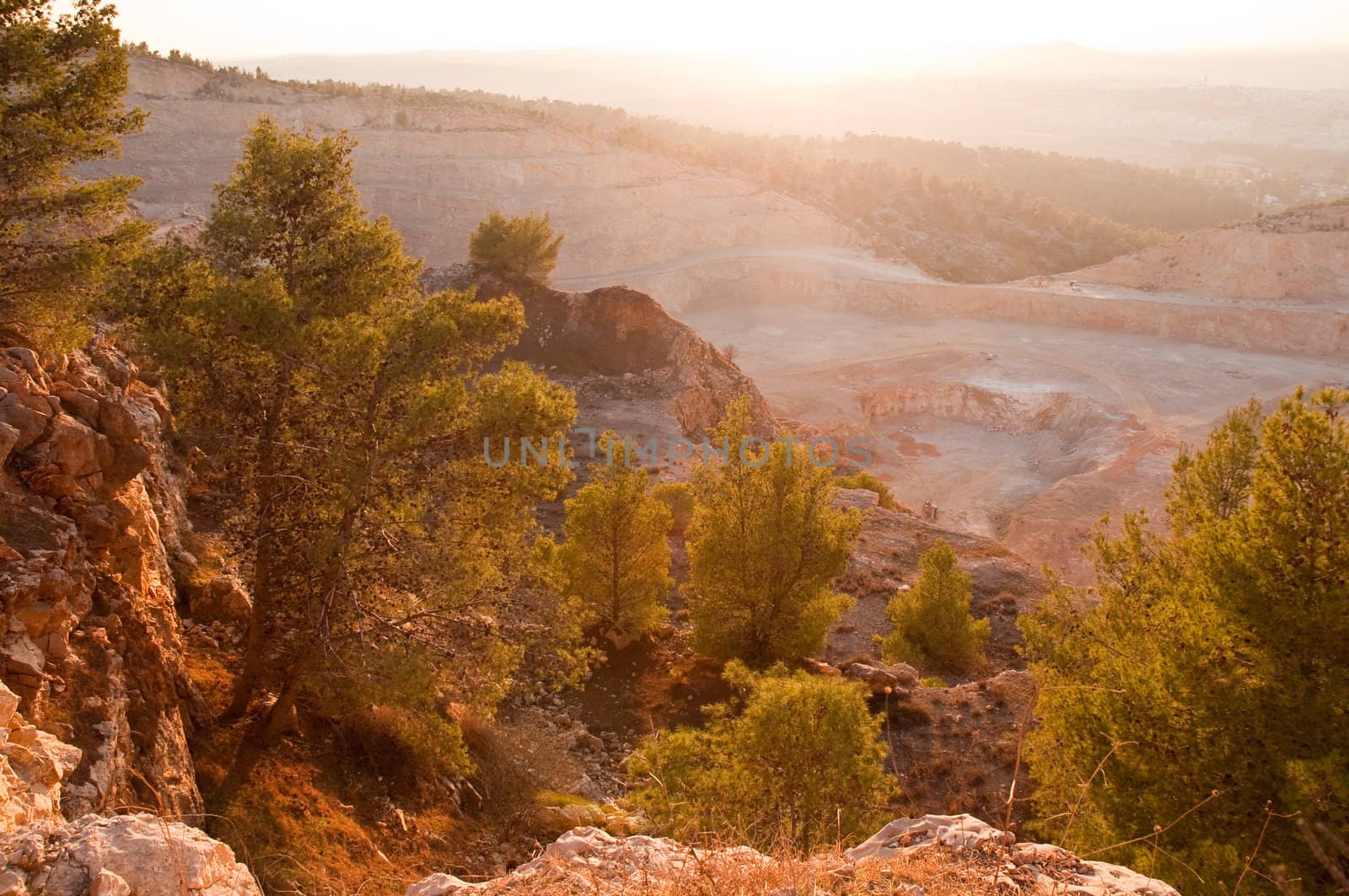 View of the forest in Israel. Area Jimal.