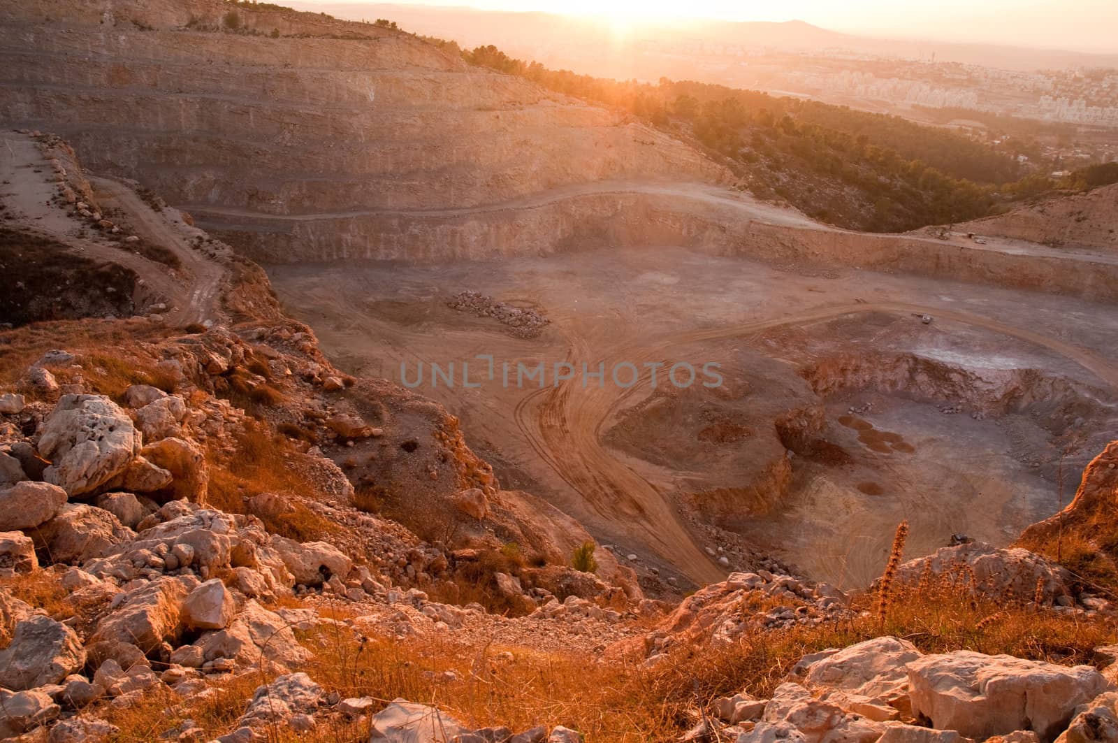 View of the forest in Israel. Area Jimal.