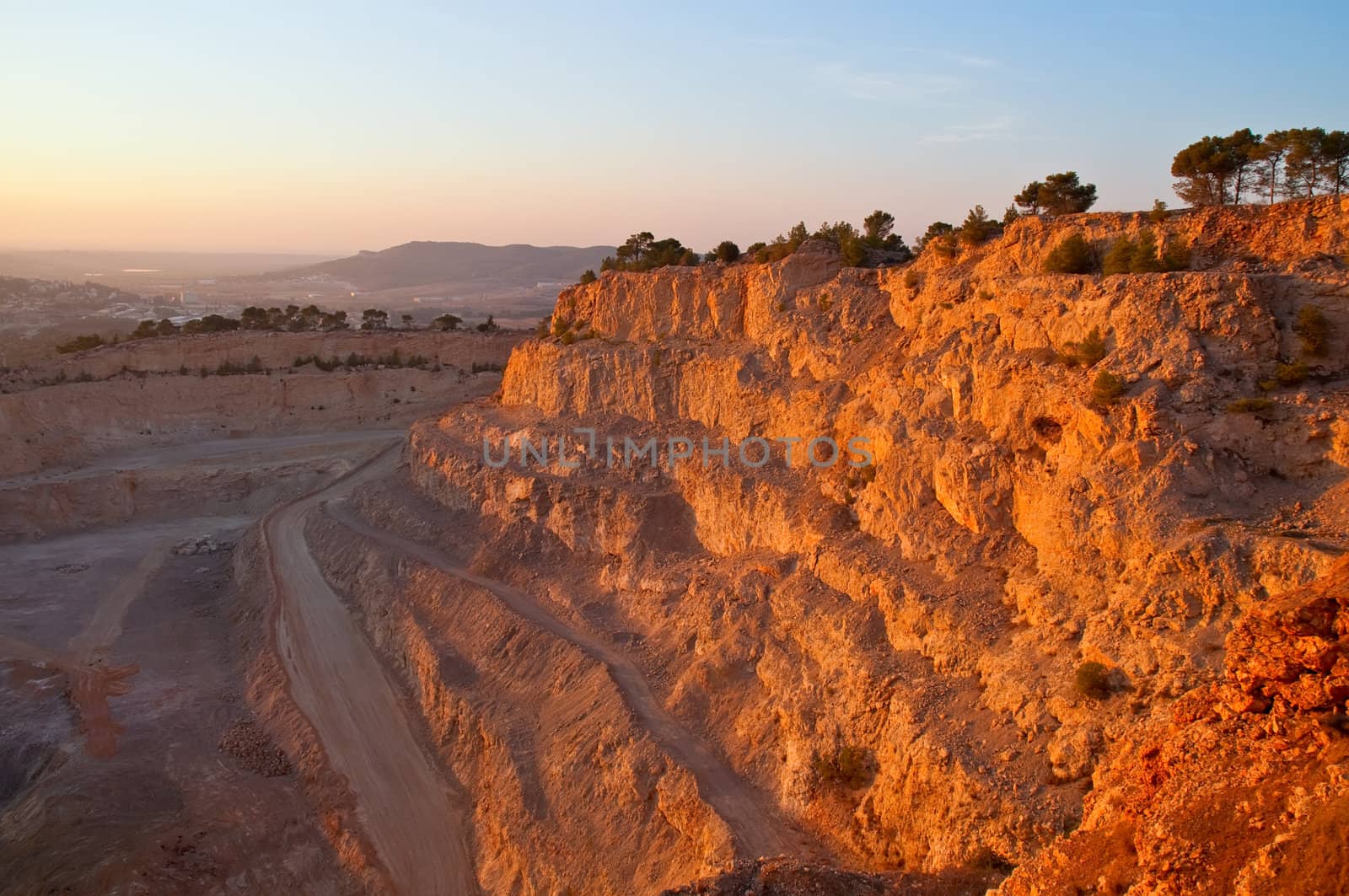 View of the forest in Israel. Area Jimal.