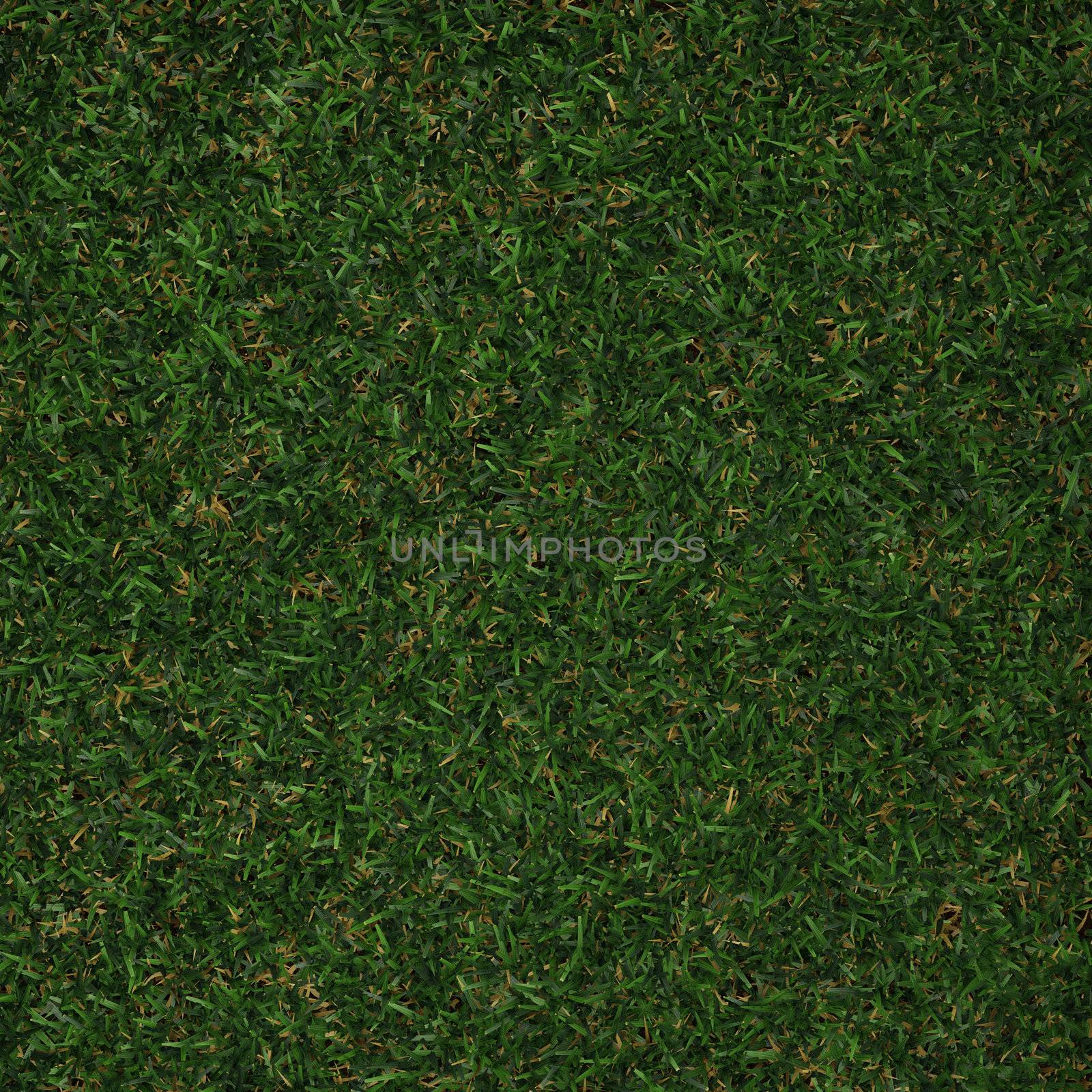 Perfect Grass in  3D