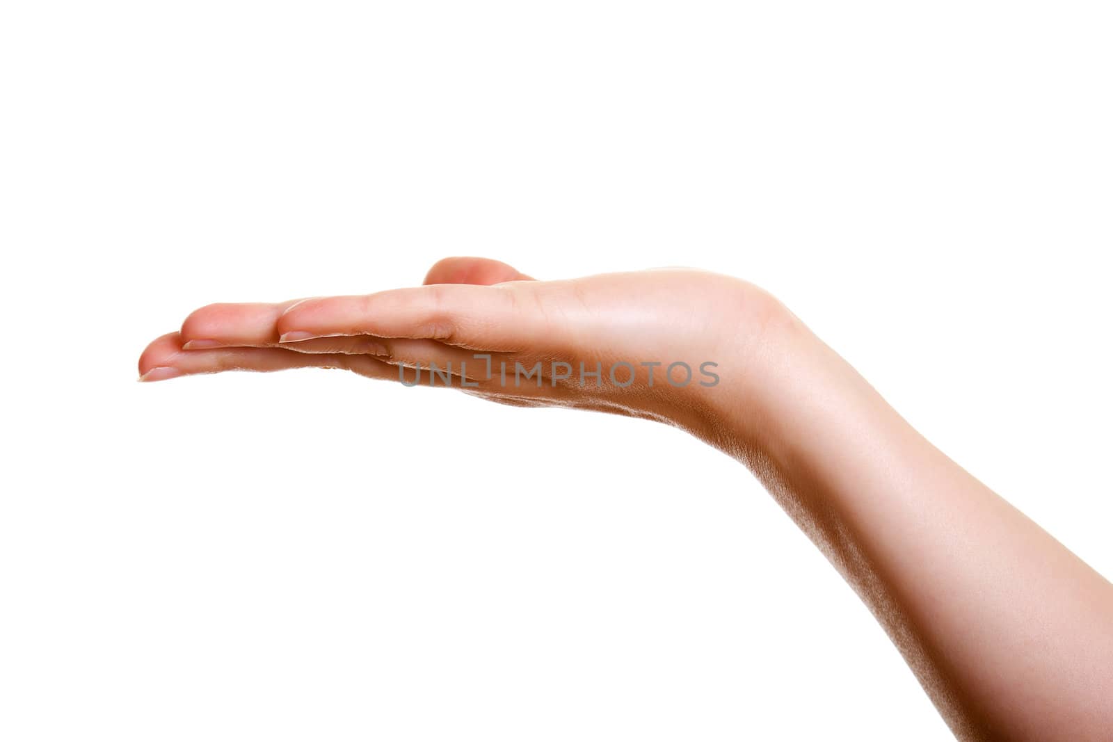 Woman's hand, palm up isolated on white background