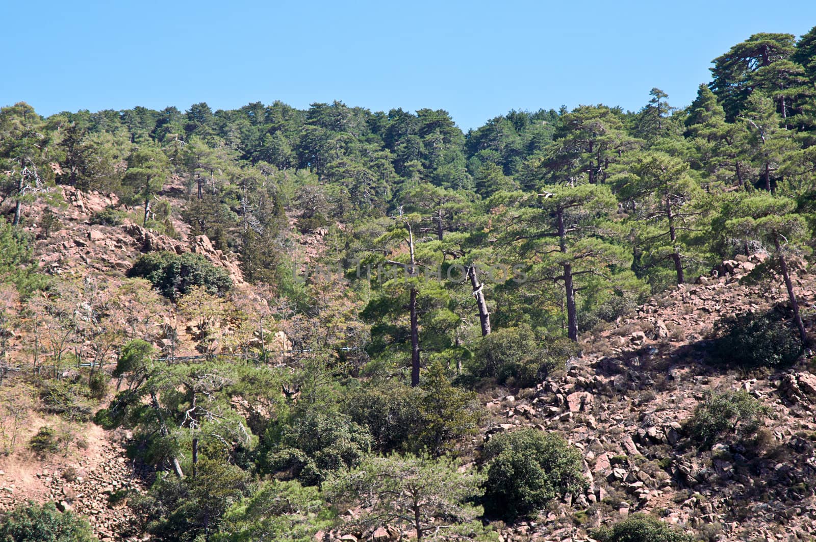 Mountains near Limassol, the view from the observation platform. Cyprus.