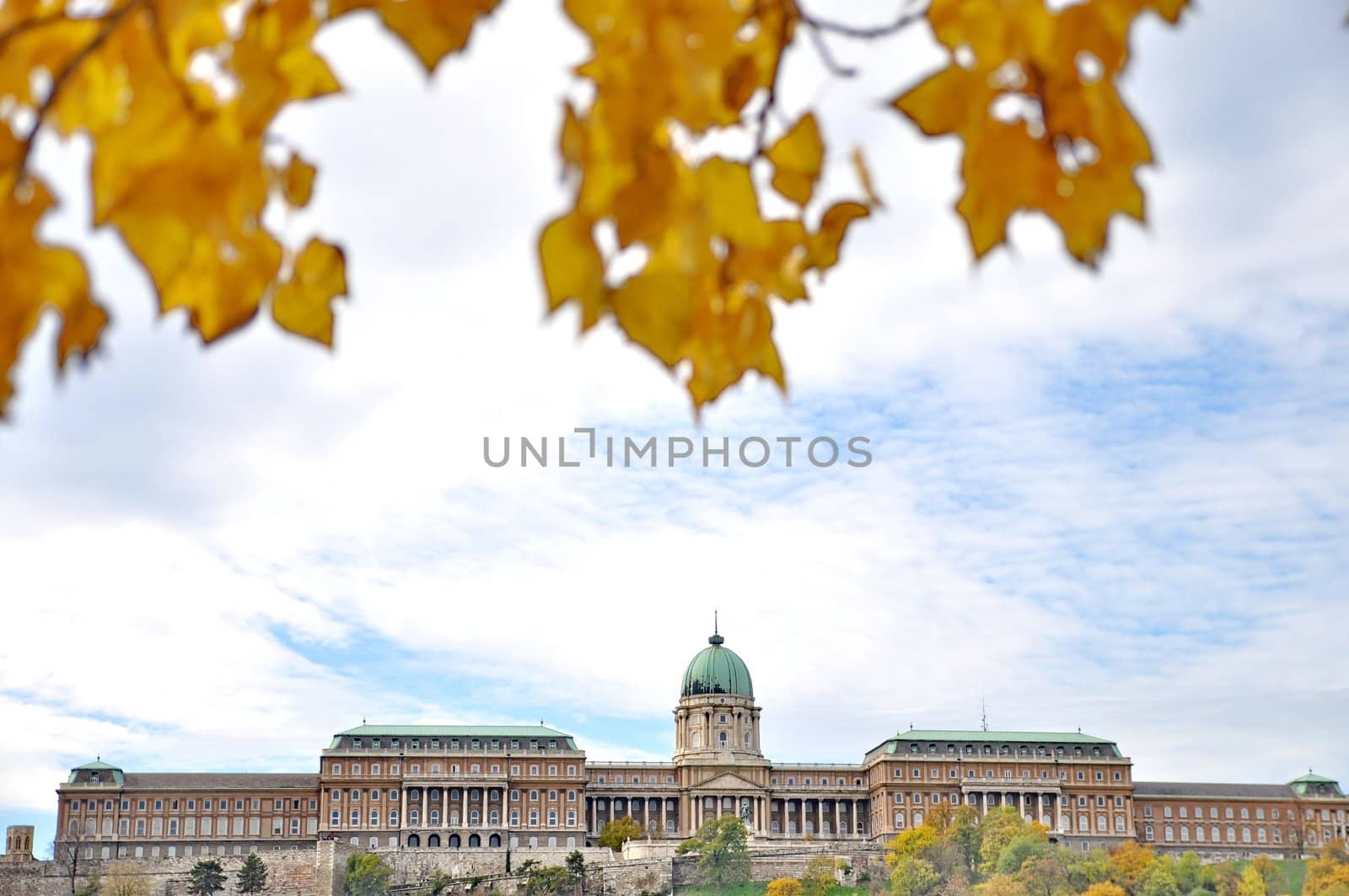 Budapest Castle at autumn by anderm
