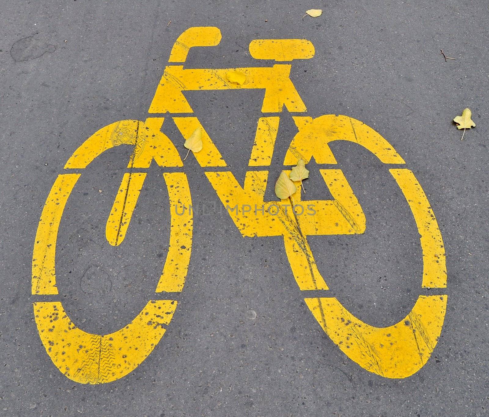 Bicycle roadsign with autumn leaves by anderm