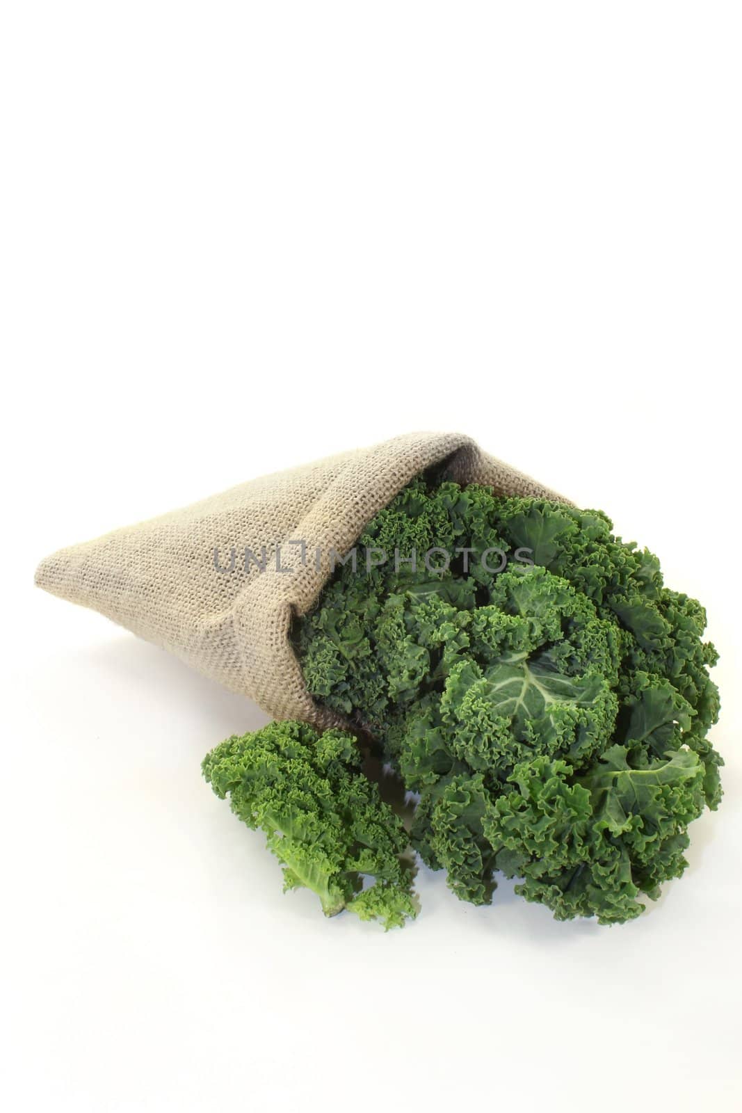 fresh green kale on a white background
