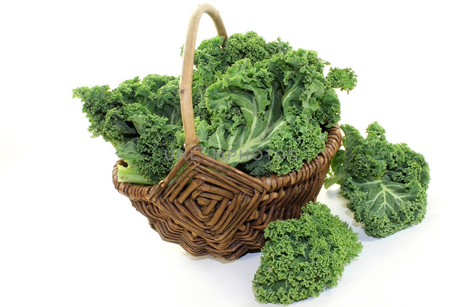 fresh green kale on a white background