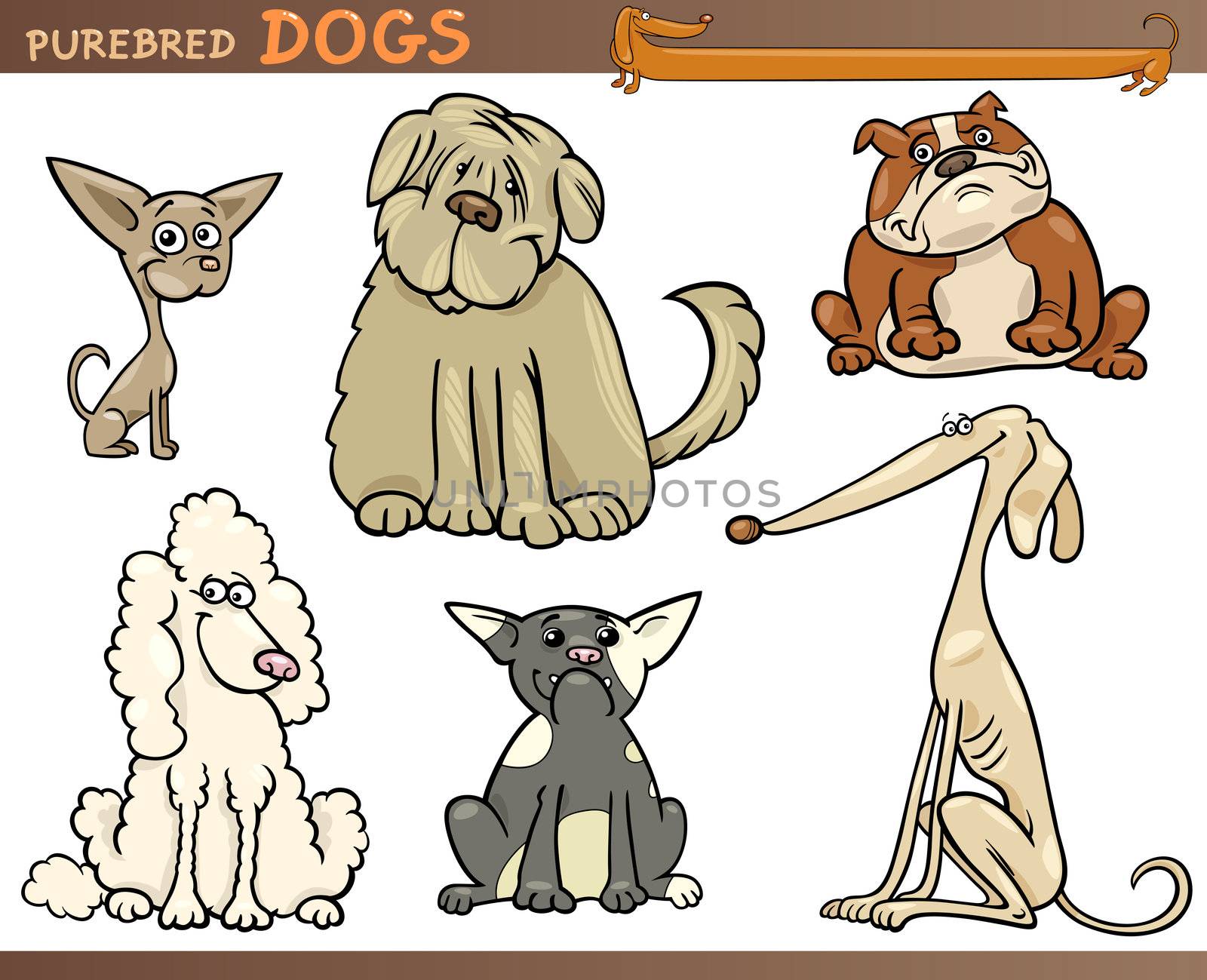 Cartoon Comic Illustration of Canine Breeds or Purebred Dogs Set