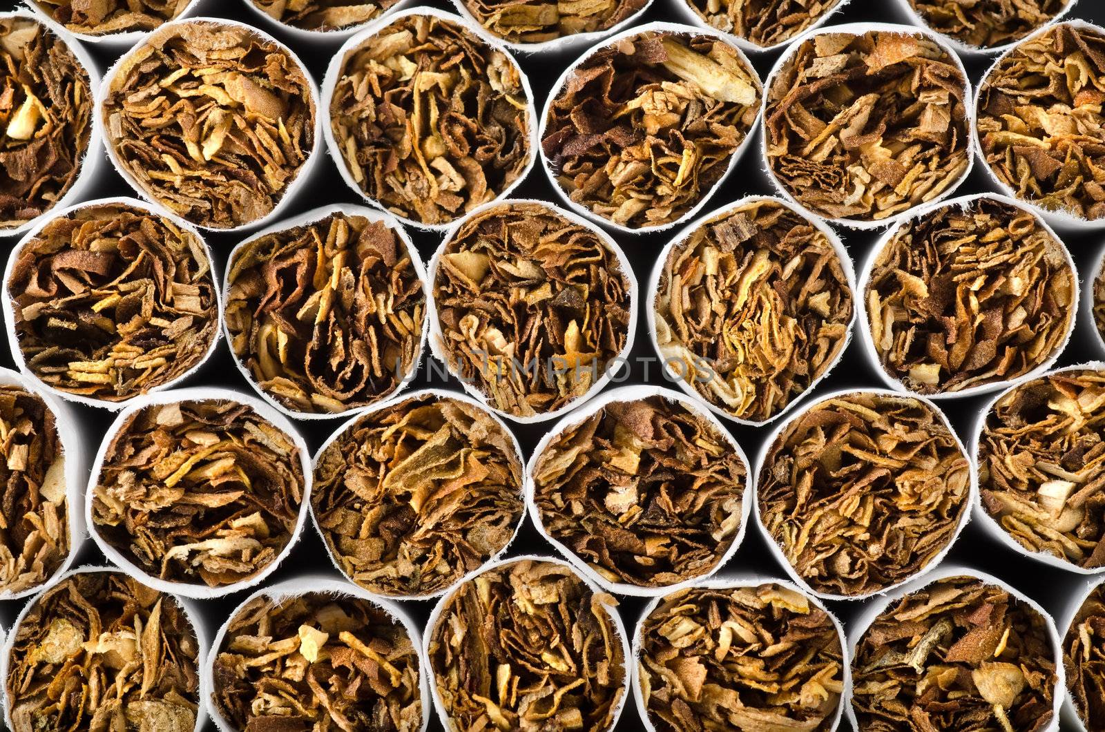 Close-up of cigarettes by Givaga