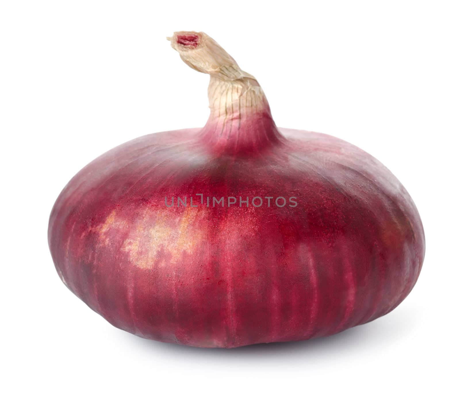 Red onion by Givaga