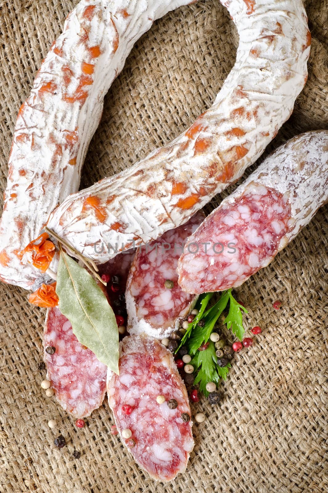 Salami sausage on a canvas by Givaga