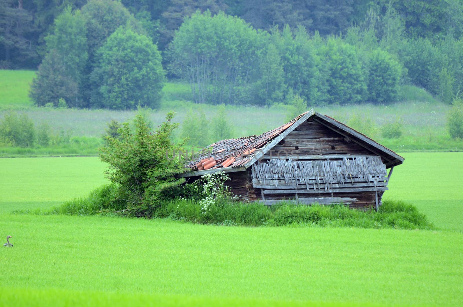An old building in the countryside in Sweden