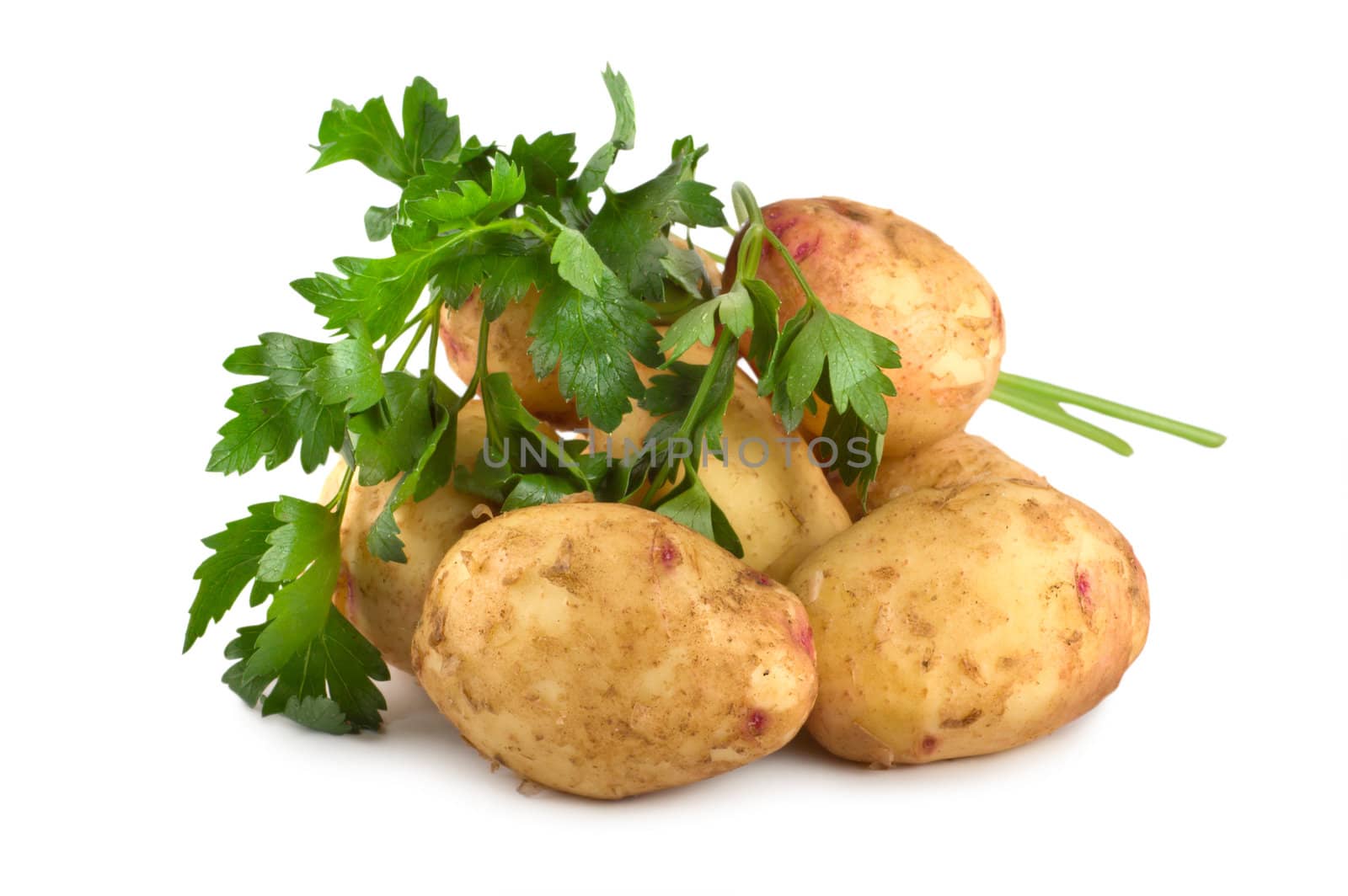 Potato isolated on a white background