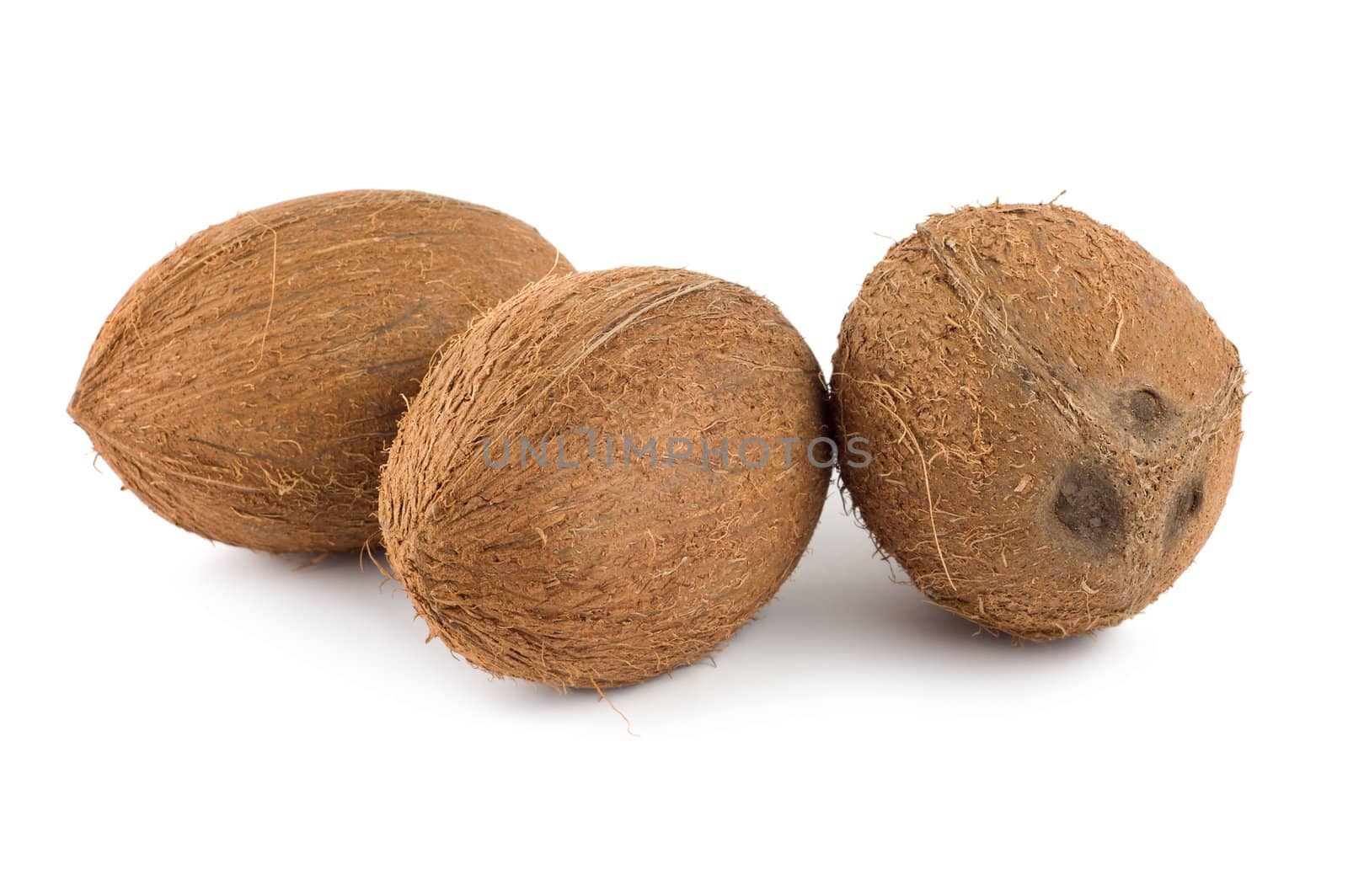Three coconut by Givaga