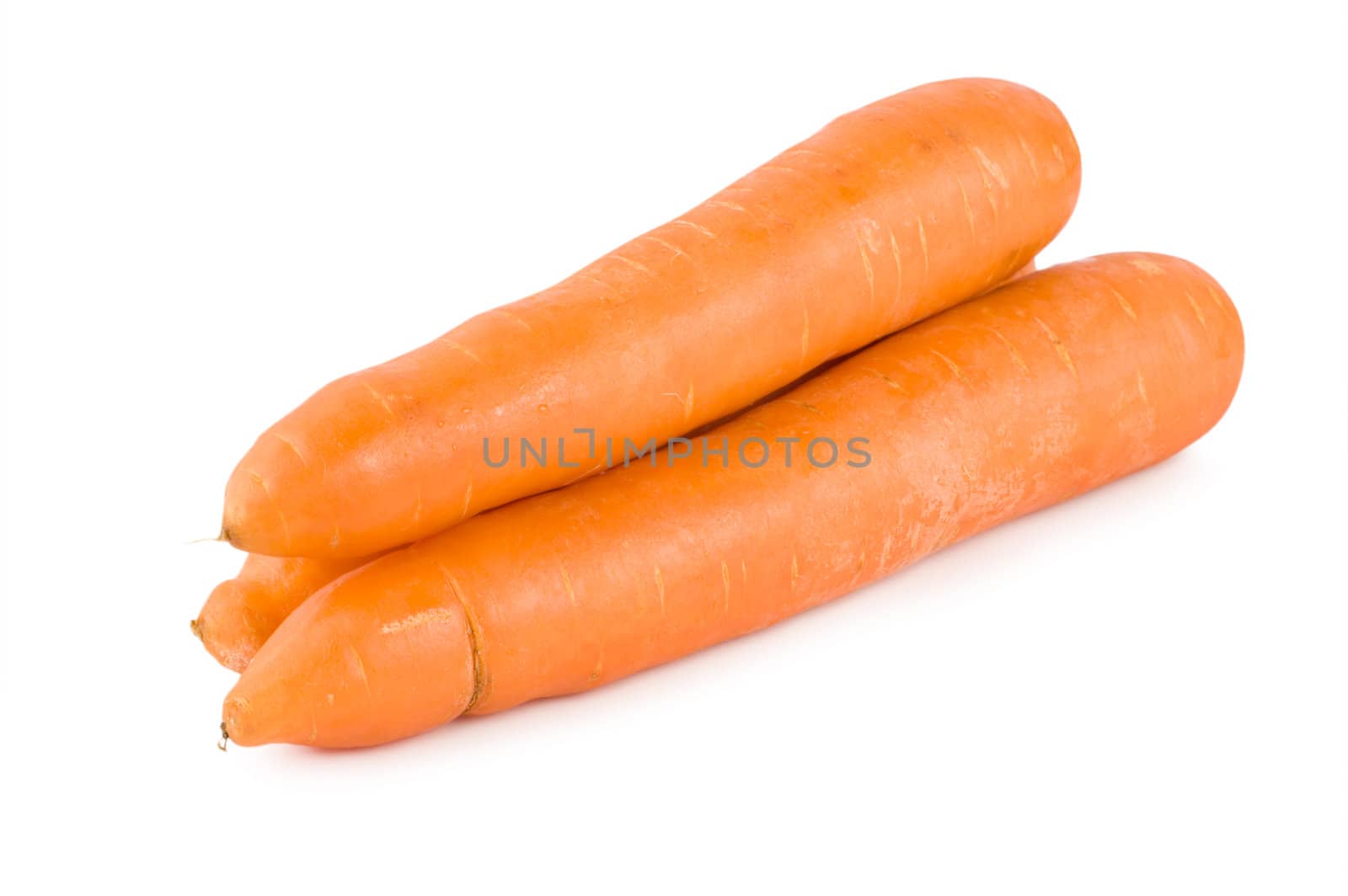 Fresh Carrots Isolated on a White Background