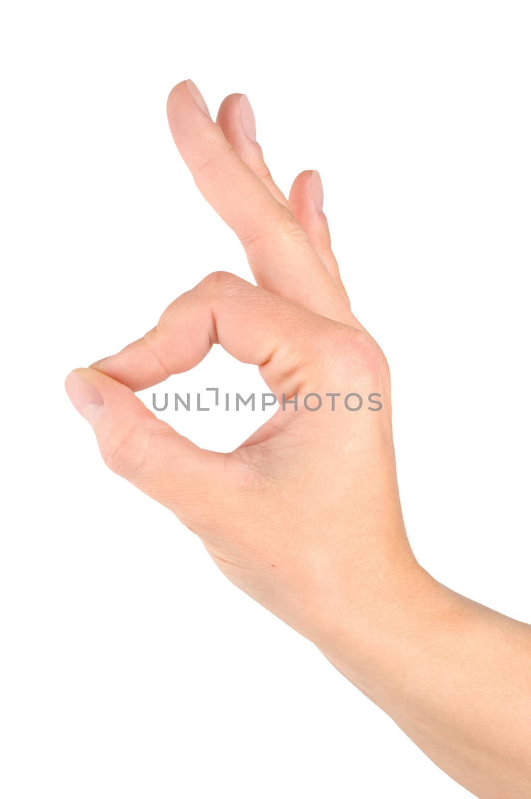 Hand simulating Ok sign isolated on a white background