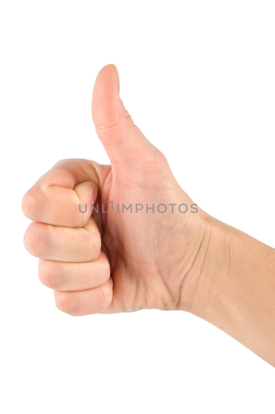 Thump up hand sign isolated on white