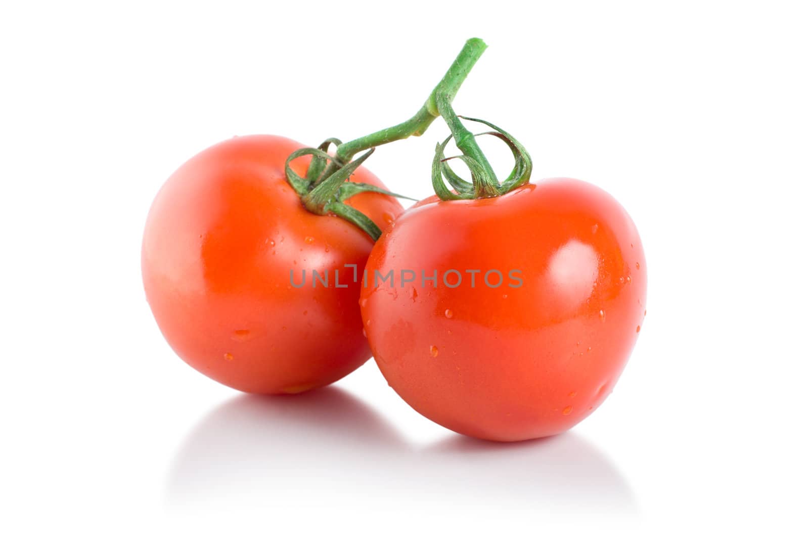 Two ripe tomatoes isolated by Givaga