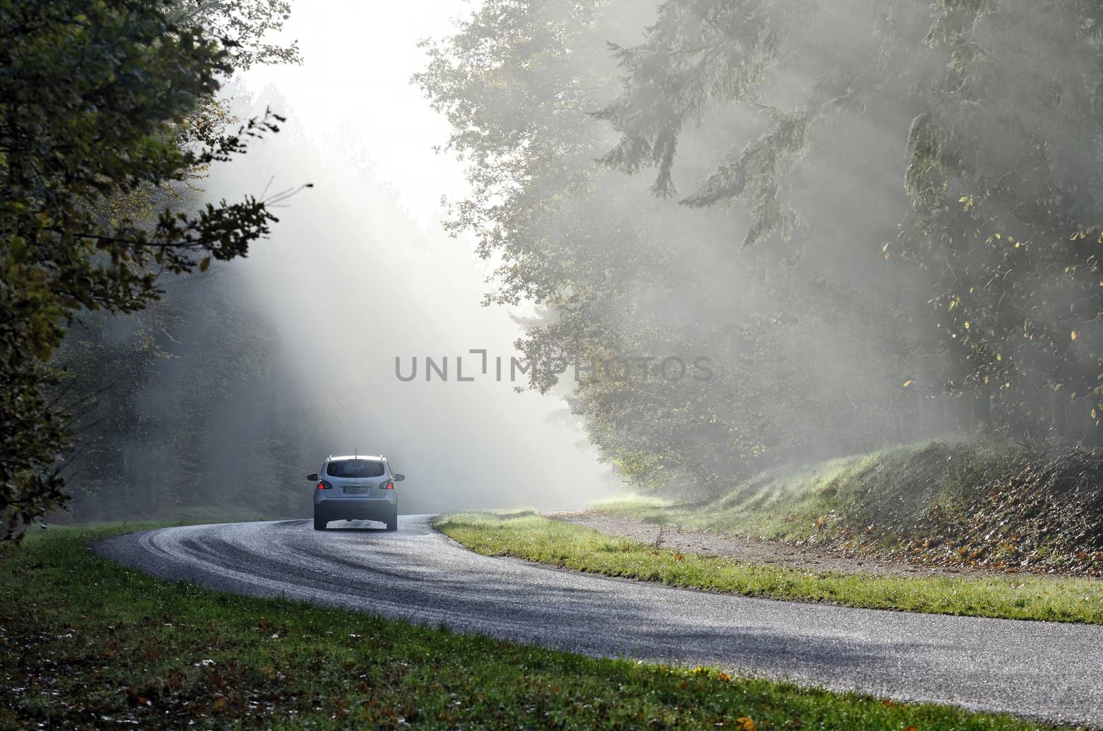 misty road by gufoto