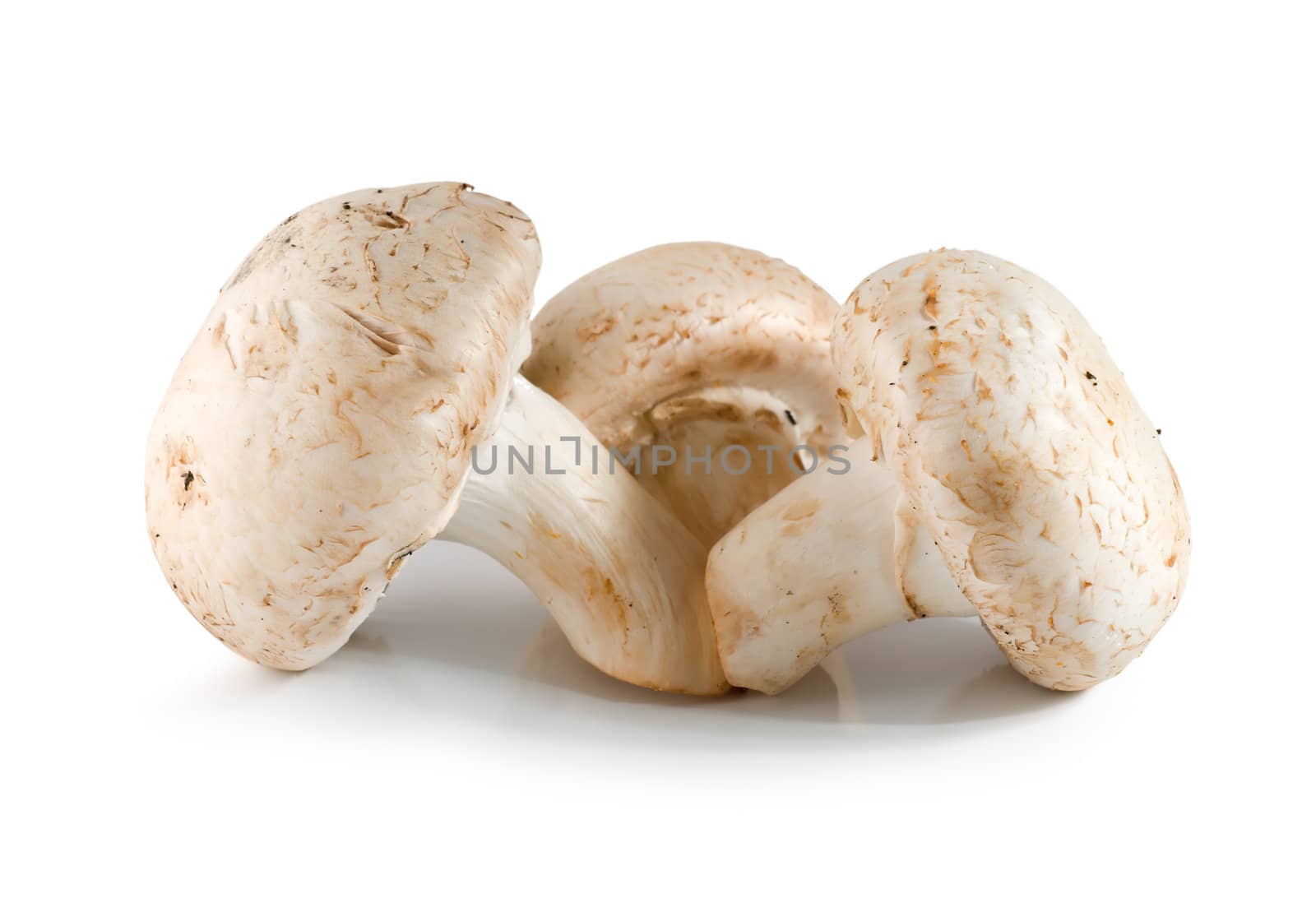 Three champignons mushroom isolated on white