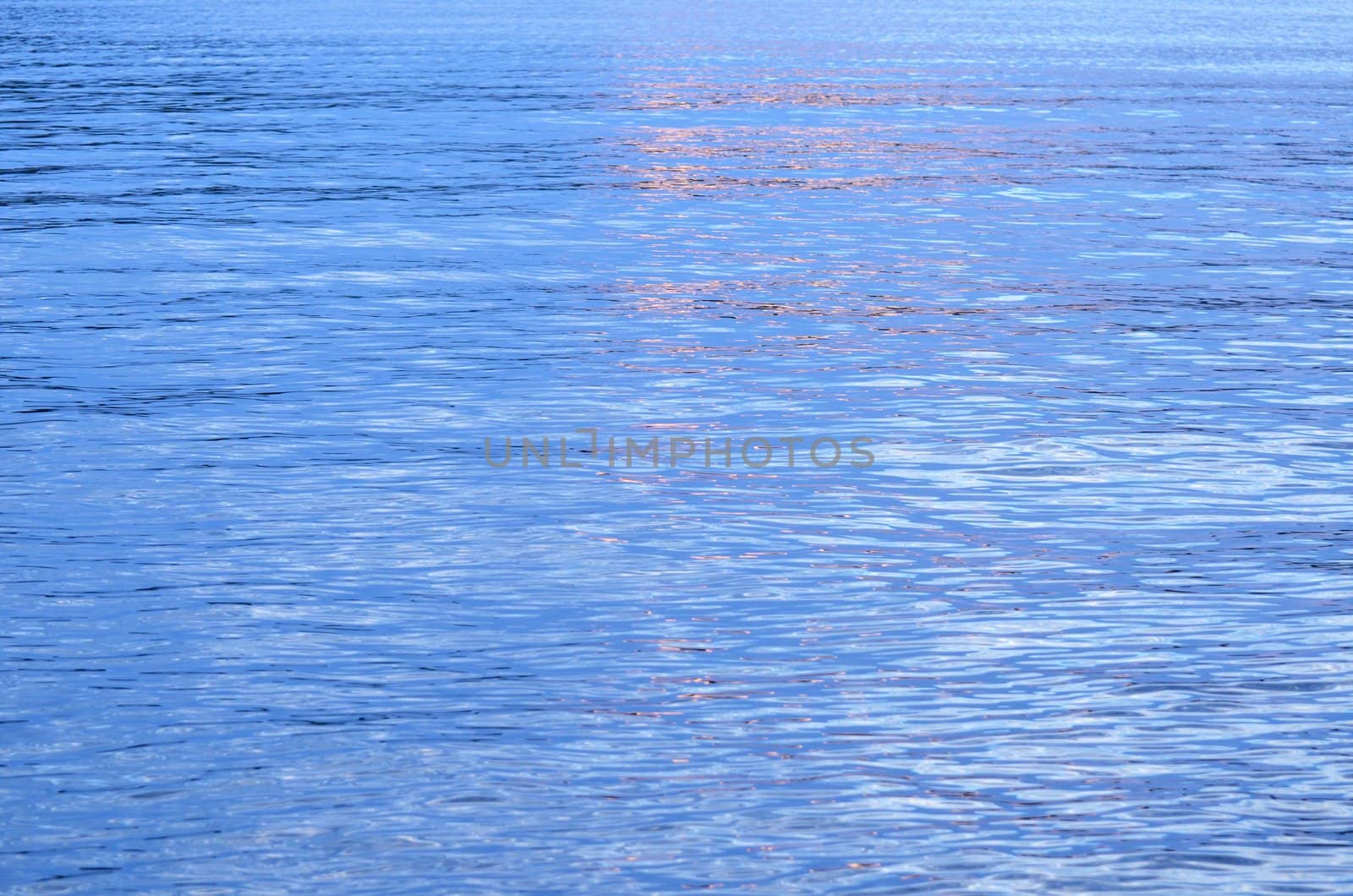 A blue water surface that flared up in evening light