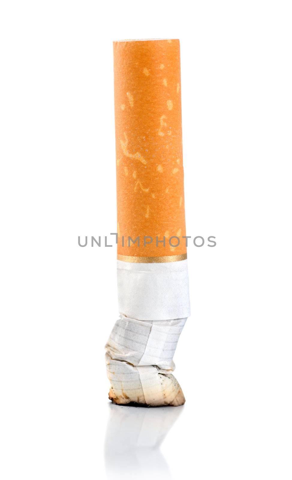Cigarette butt isolated on a white background (Clipping Path)