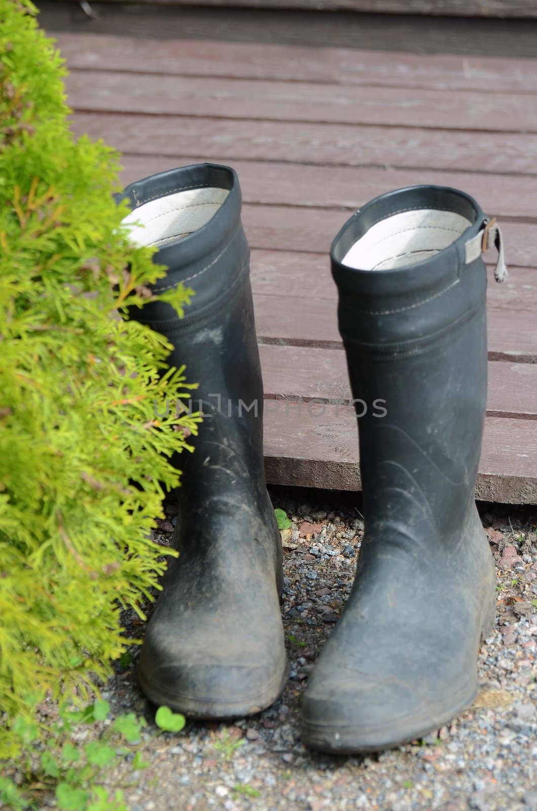 A pair of black boots