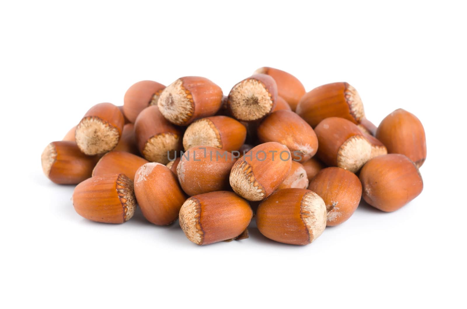 Nuts on white background by Givaga