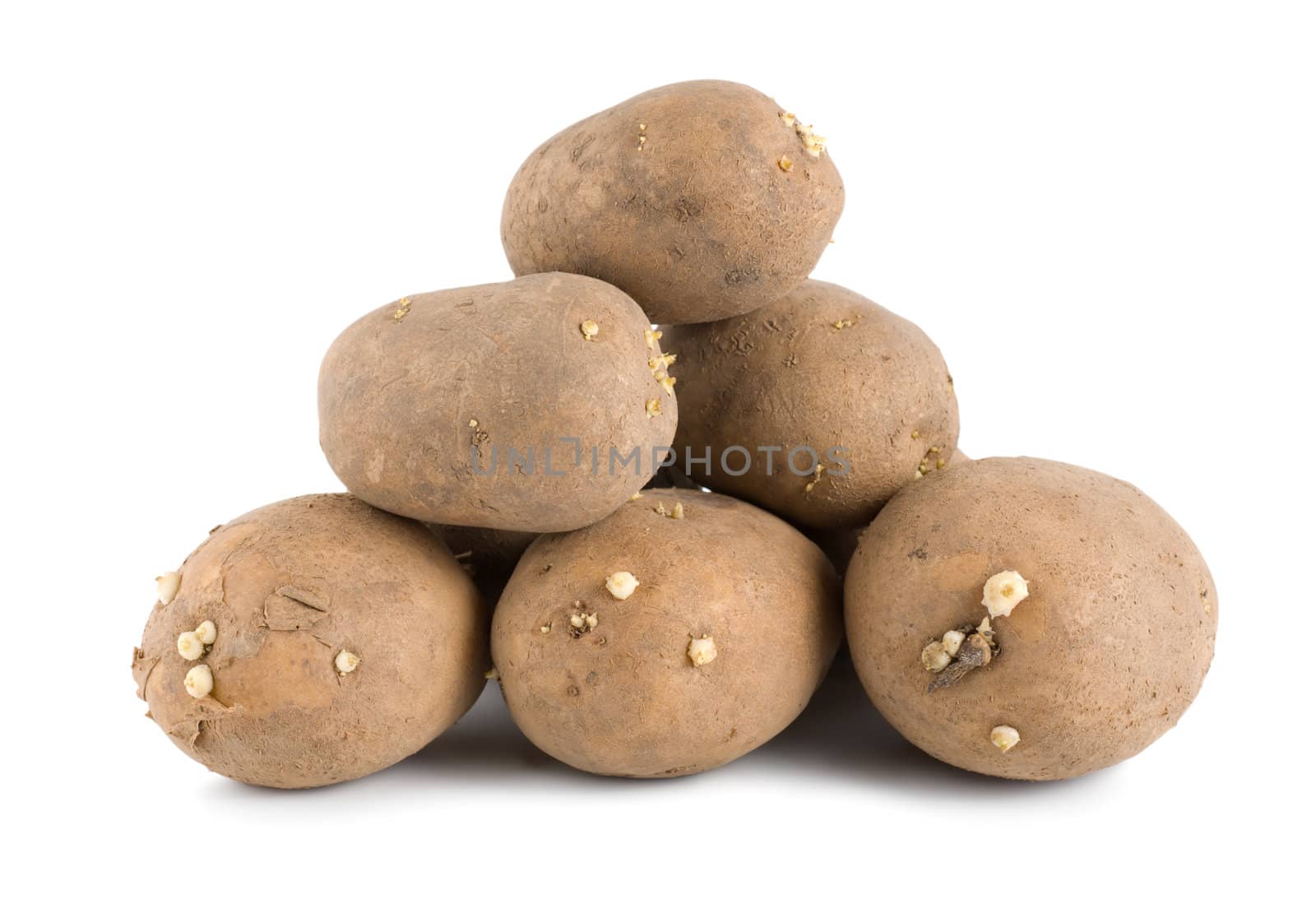 Old potatoes by Givaga
