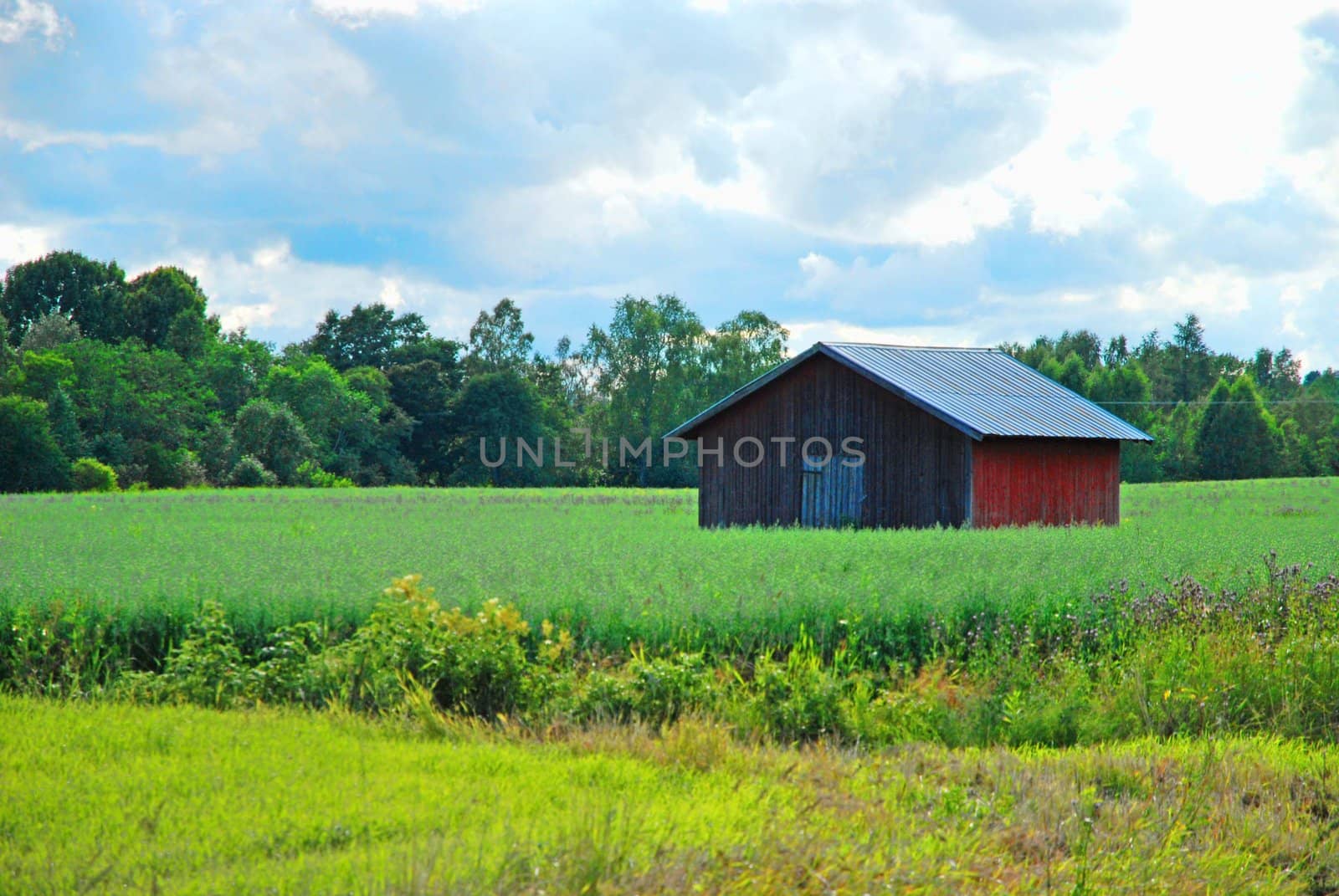 Old barn in a field by ljusnan69