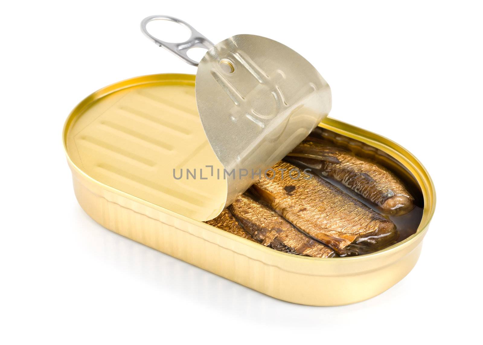 Canned sardines sea isolated on white background