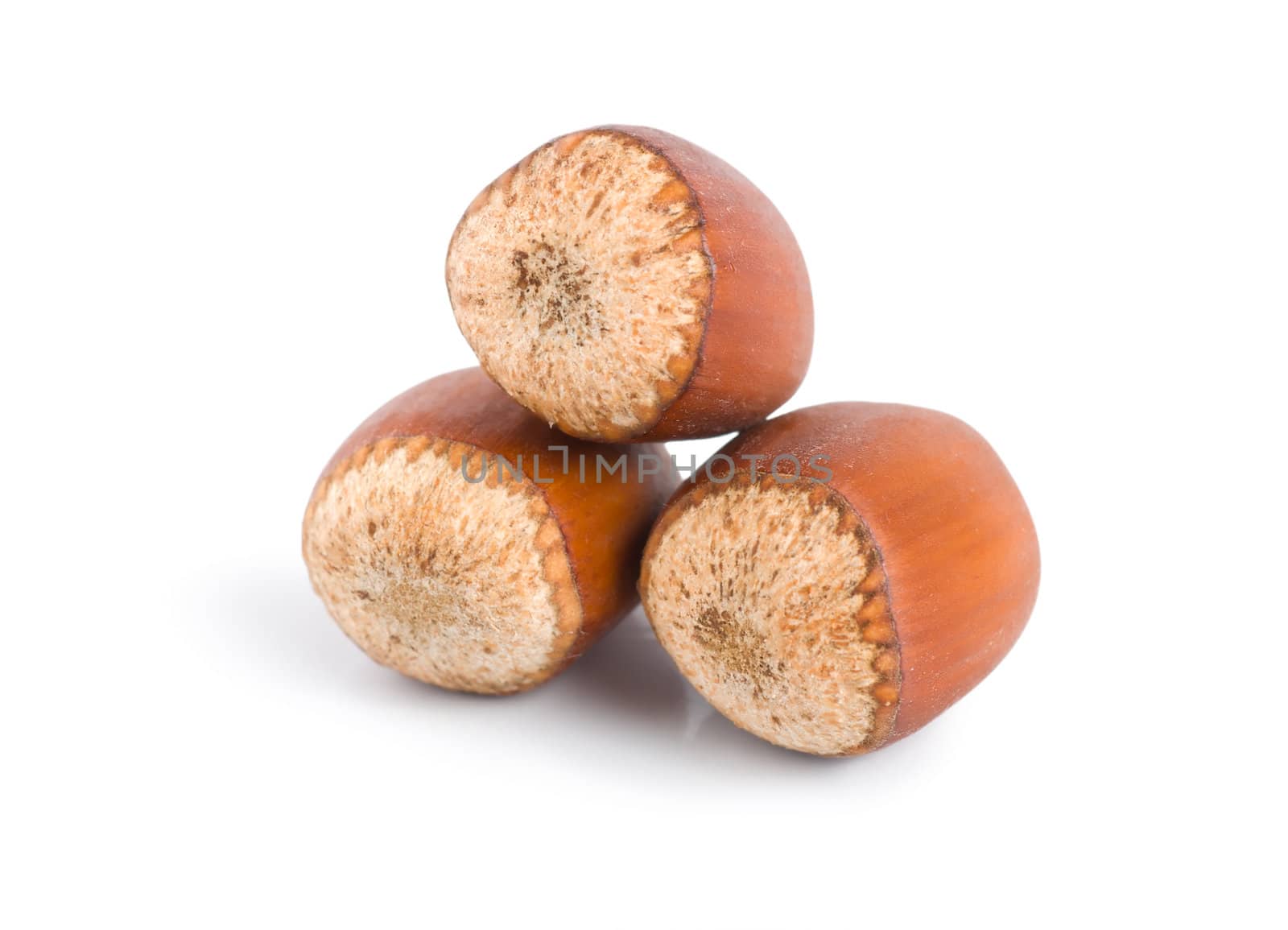 Three hazelnuts by Givaga