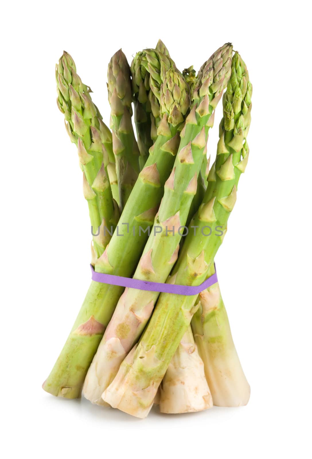 Raw asparagus isolated on a white background