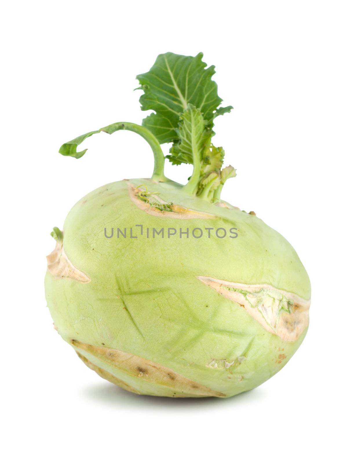 Cabbage kohlrab isolated on a white background