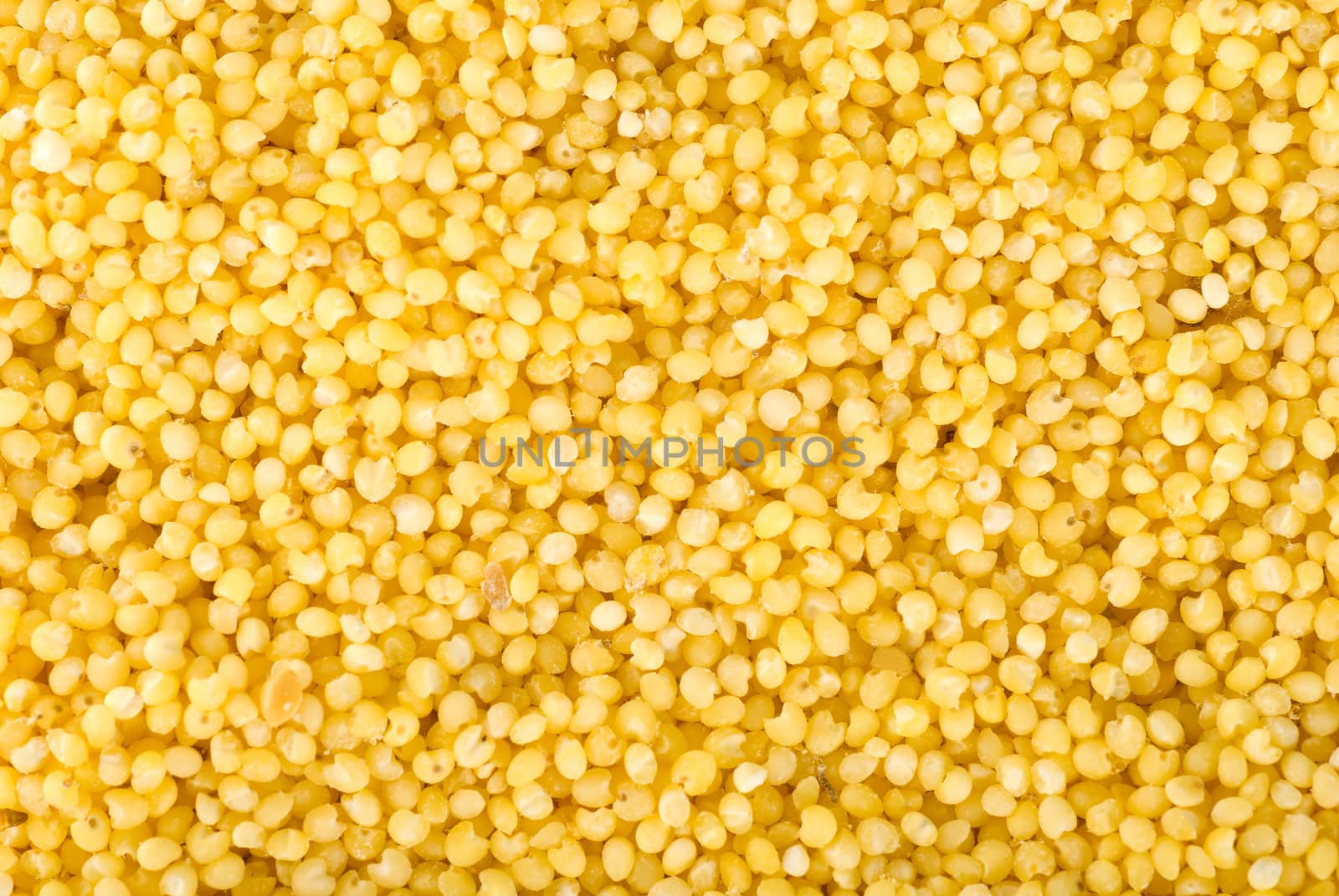 Millet seed cereal yellow backgrounds texture dry