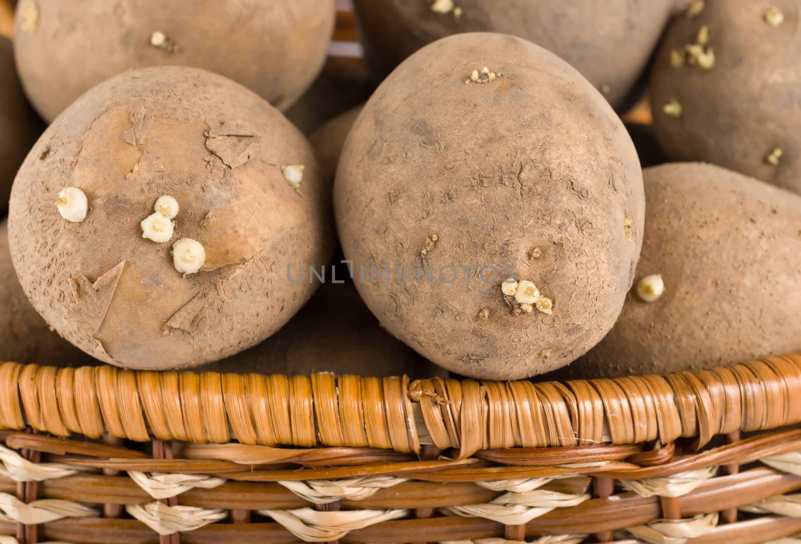 Raw potatoes in wooden basket by Givaga