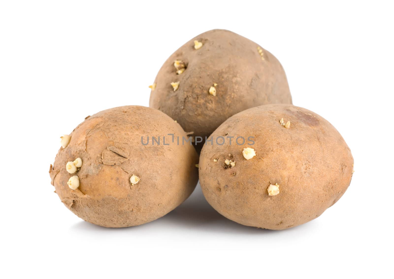 Three raw potatoes isolated on a white background