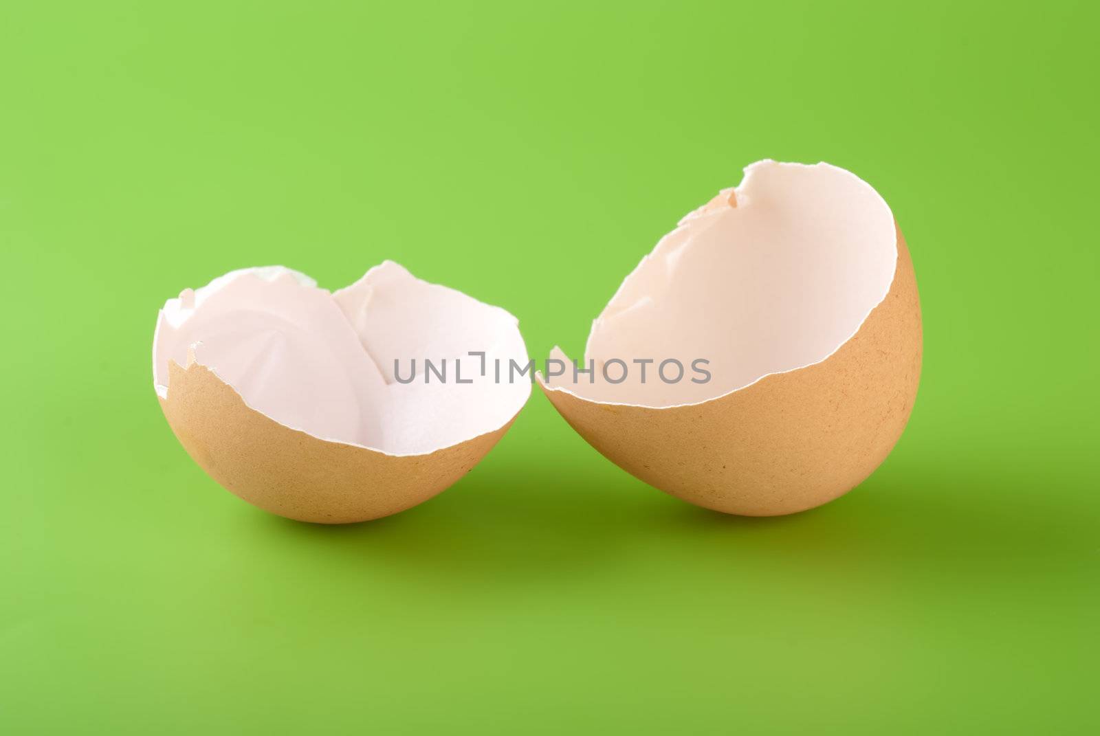 Two pieces of brown egg shell on a green background