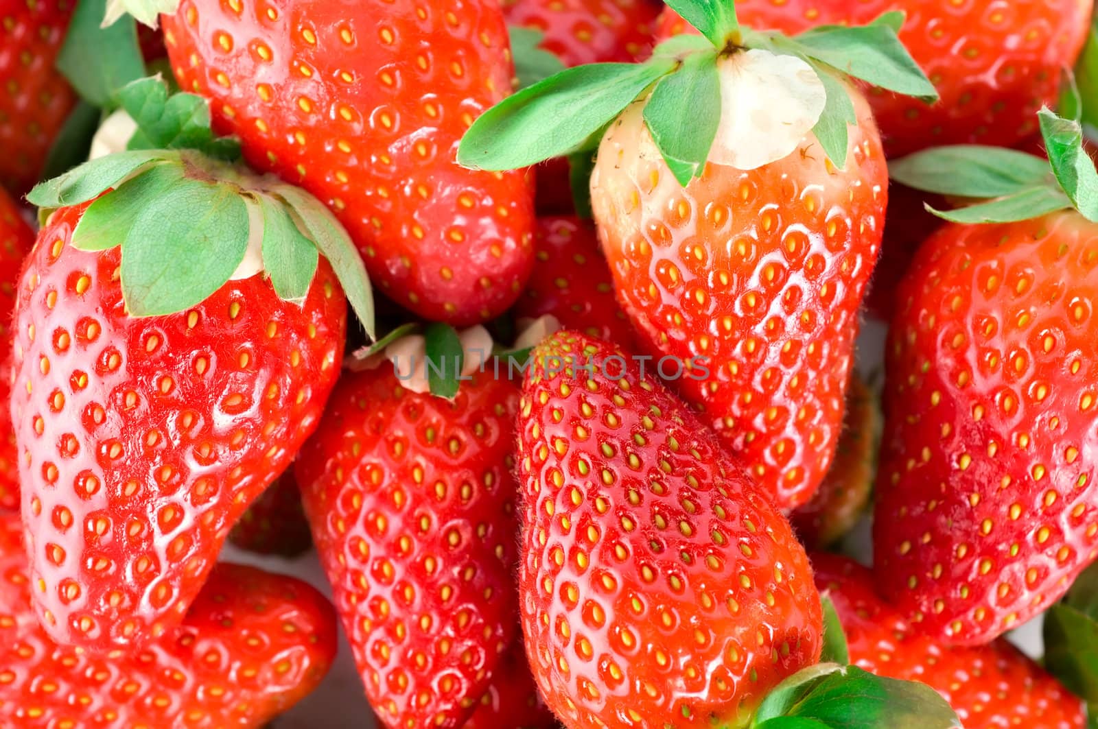 A selection of fresh red mouthwatering strawberries