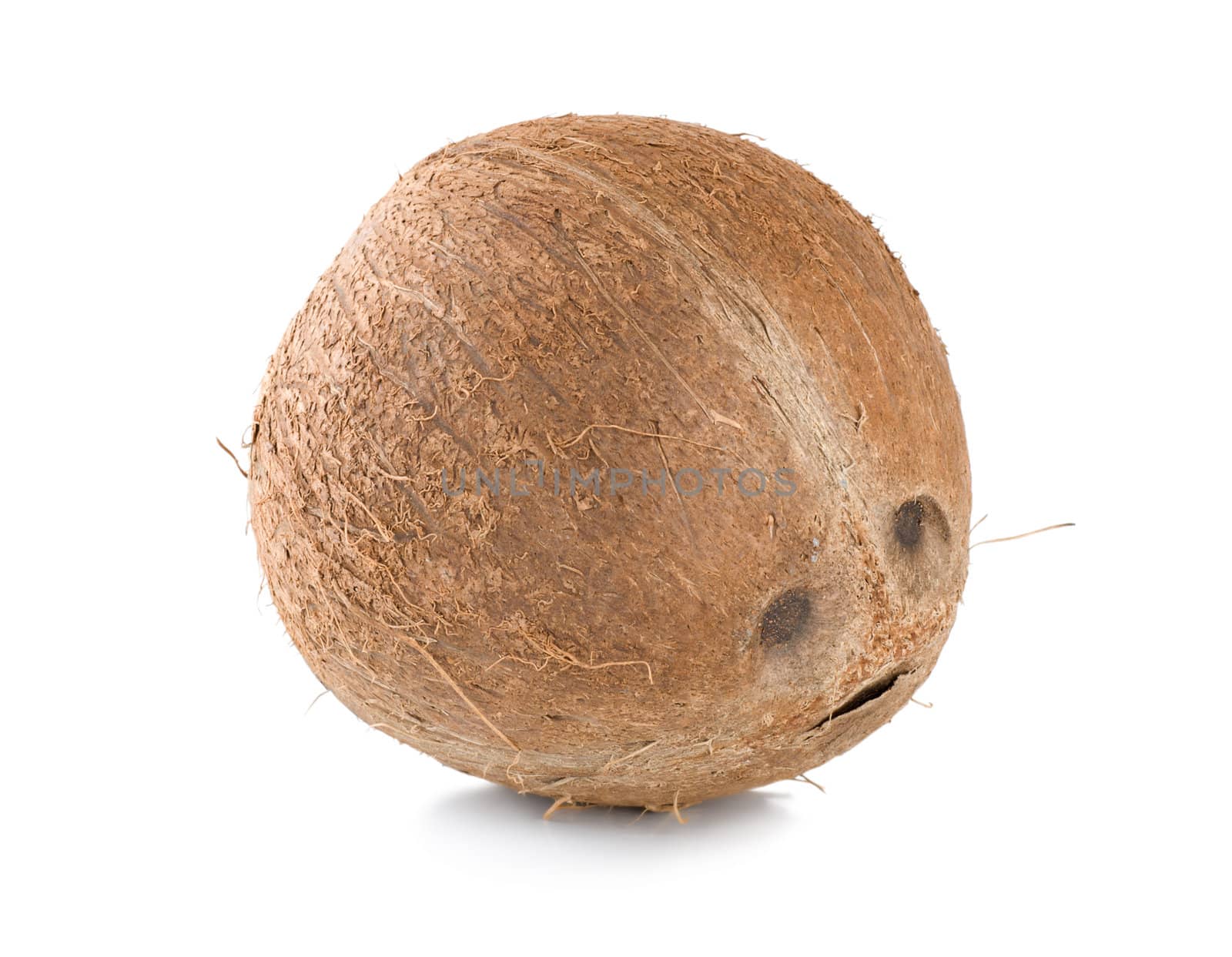Ripe coconut isolated by Givaga