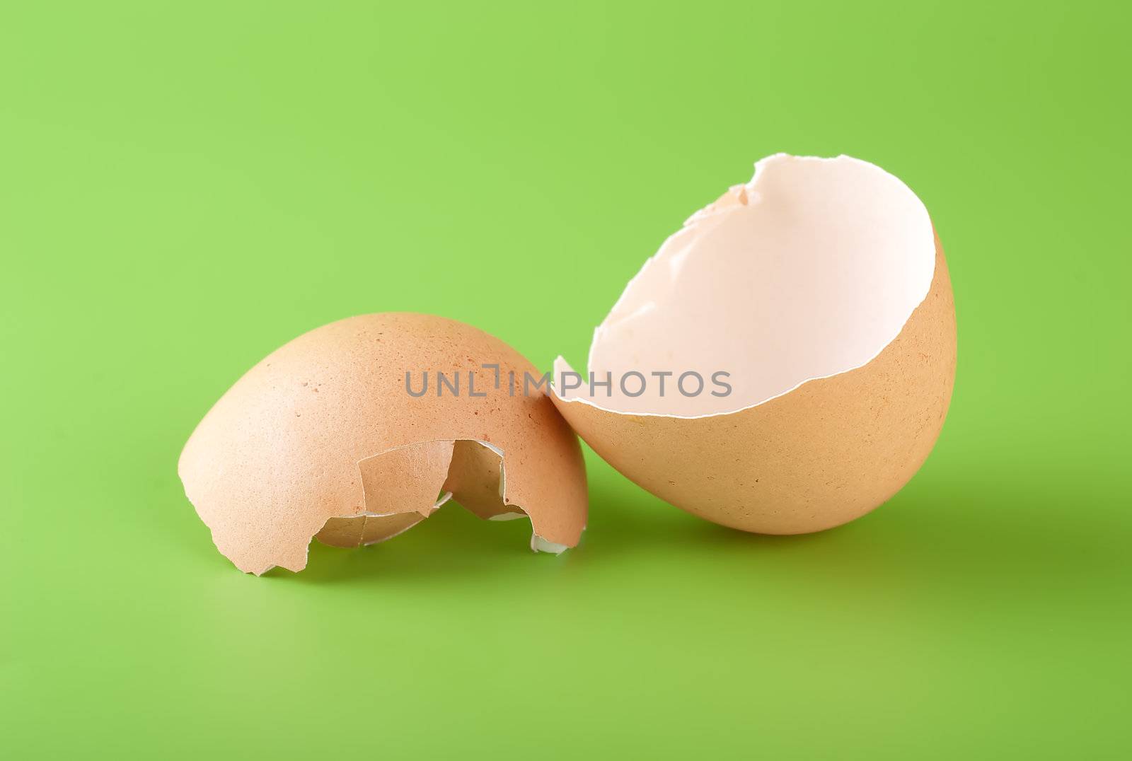 Two pieces of brown egg shell on a green background
