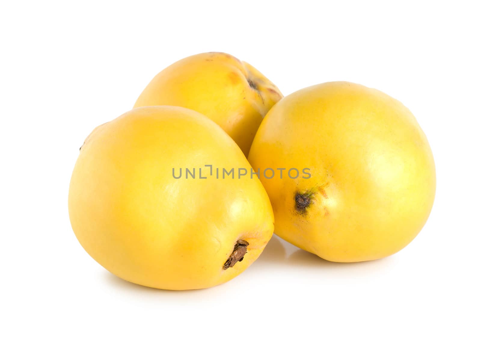 Three quinces by Givaga
