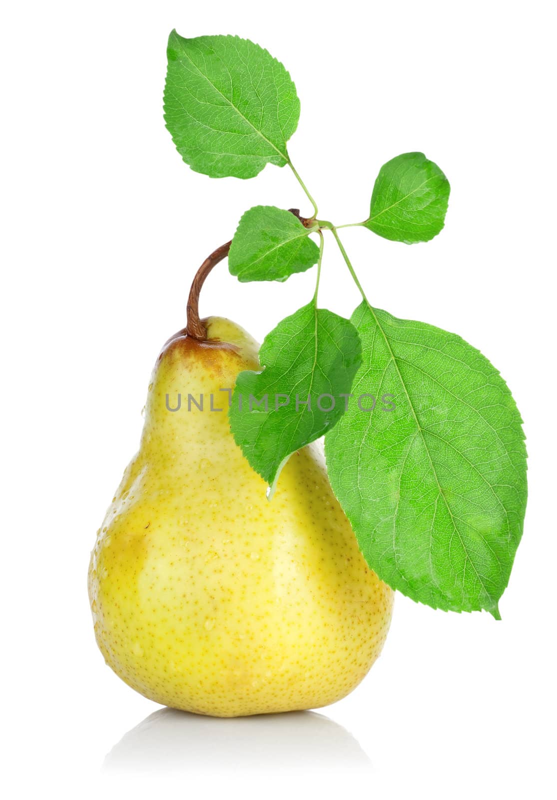Yellow pear with green leafs isolated on white background