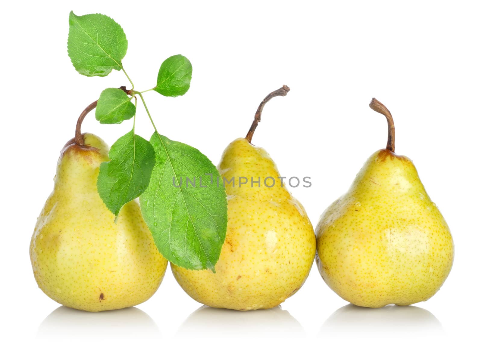 Yellow pears with green leafs isolated on white background