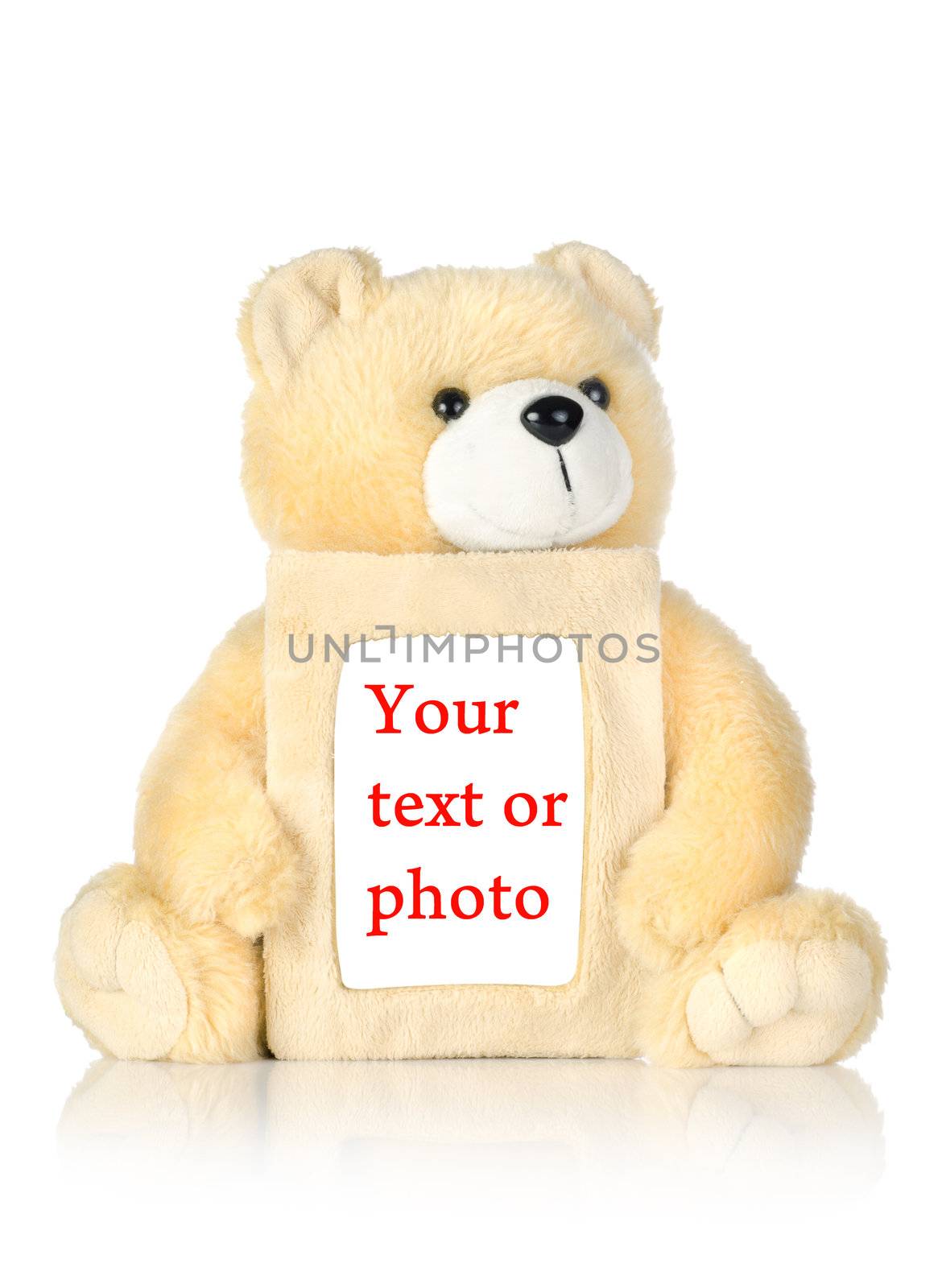 Teddy bear with photo frame by Givaga