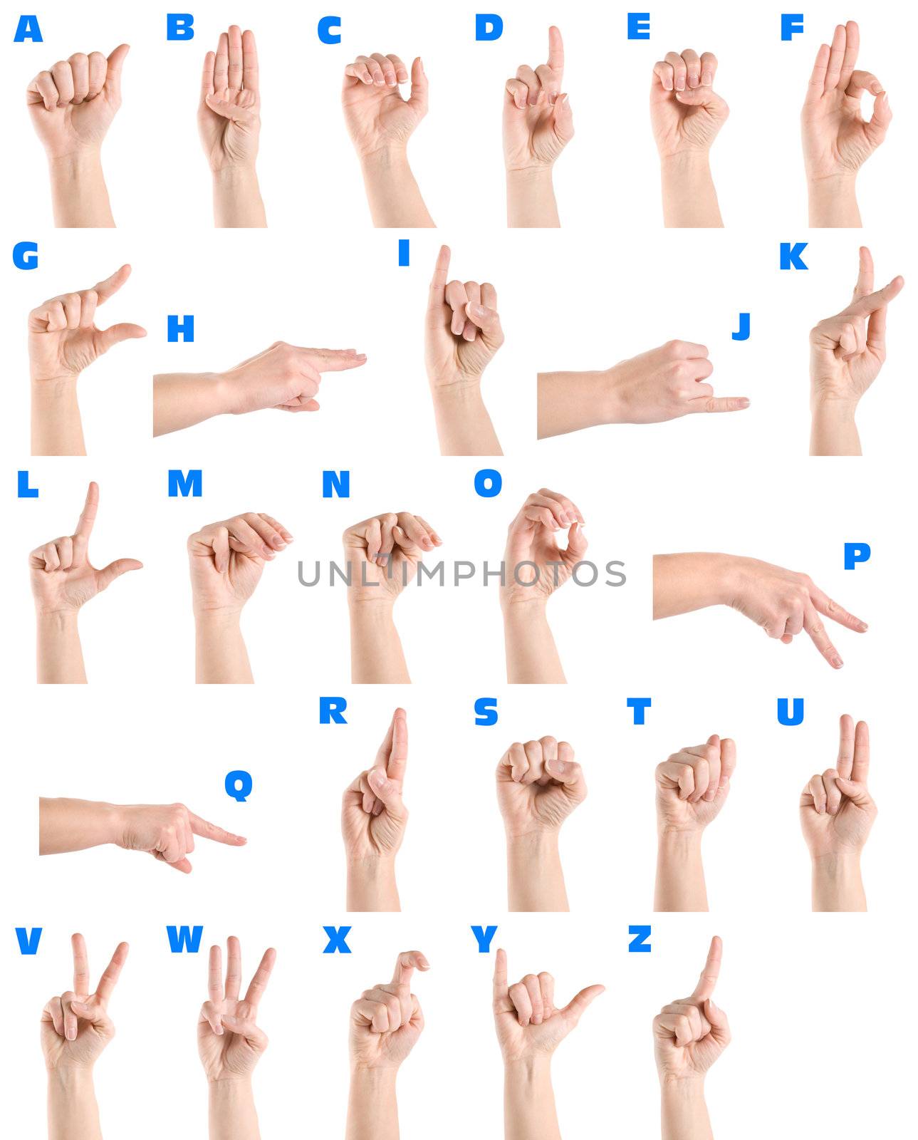 Hand sign language alphabet by Givaga