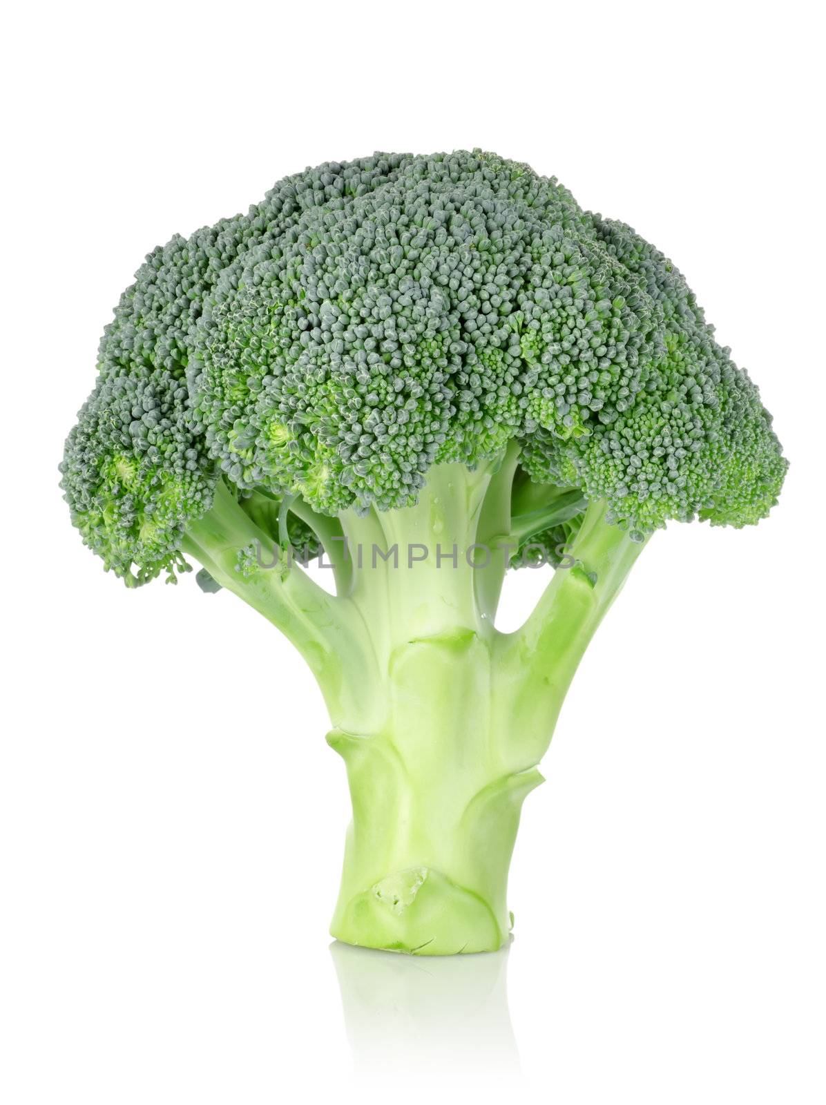 Ripe broccoli isolated on a white background